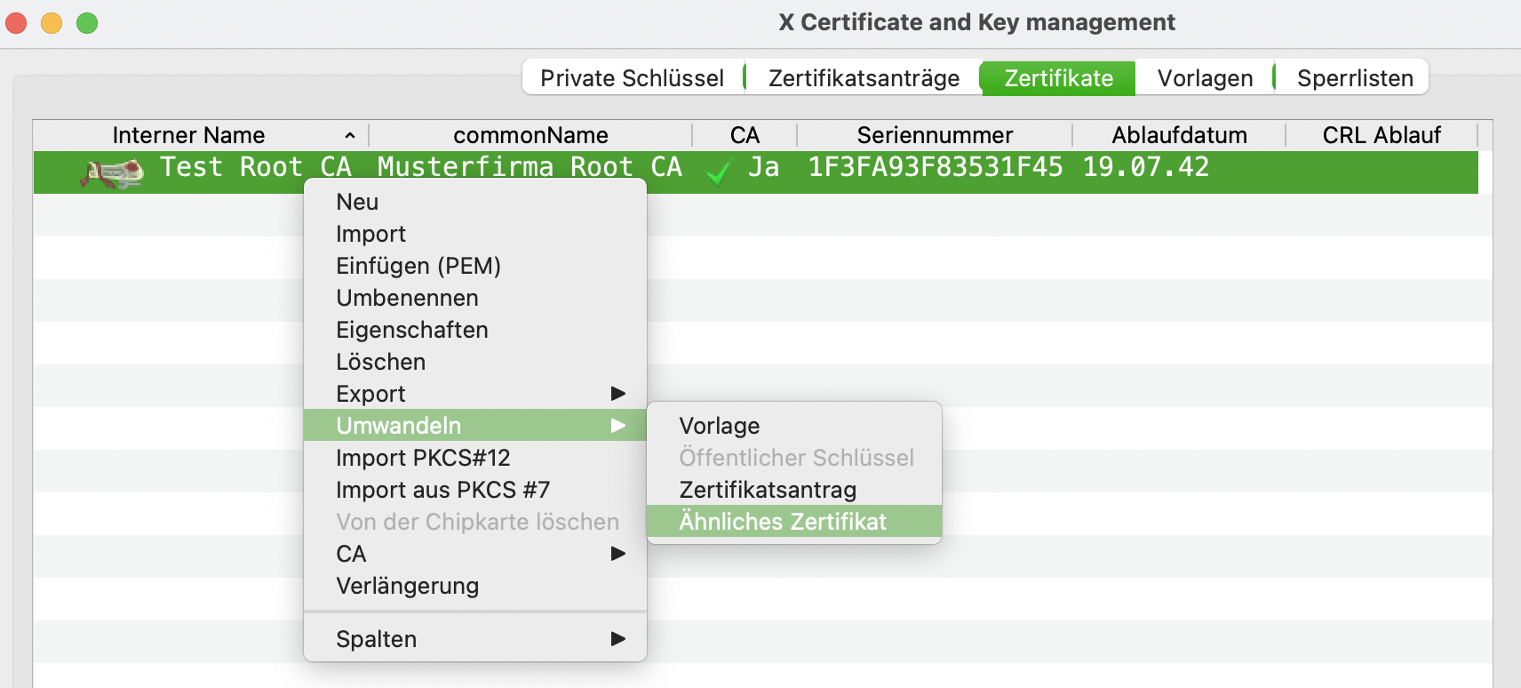 Erstellen eines Ähnlichen Zertifikats